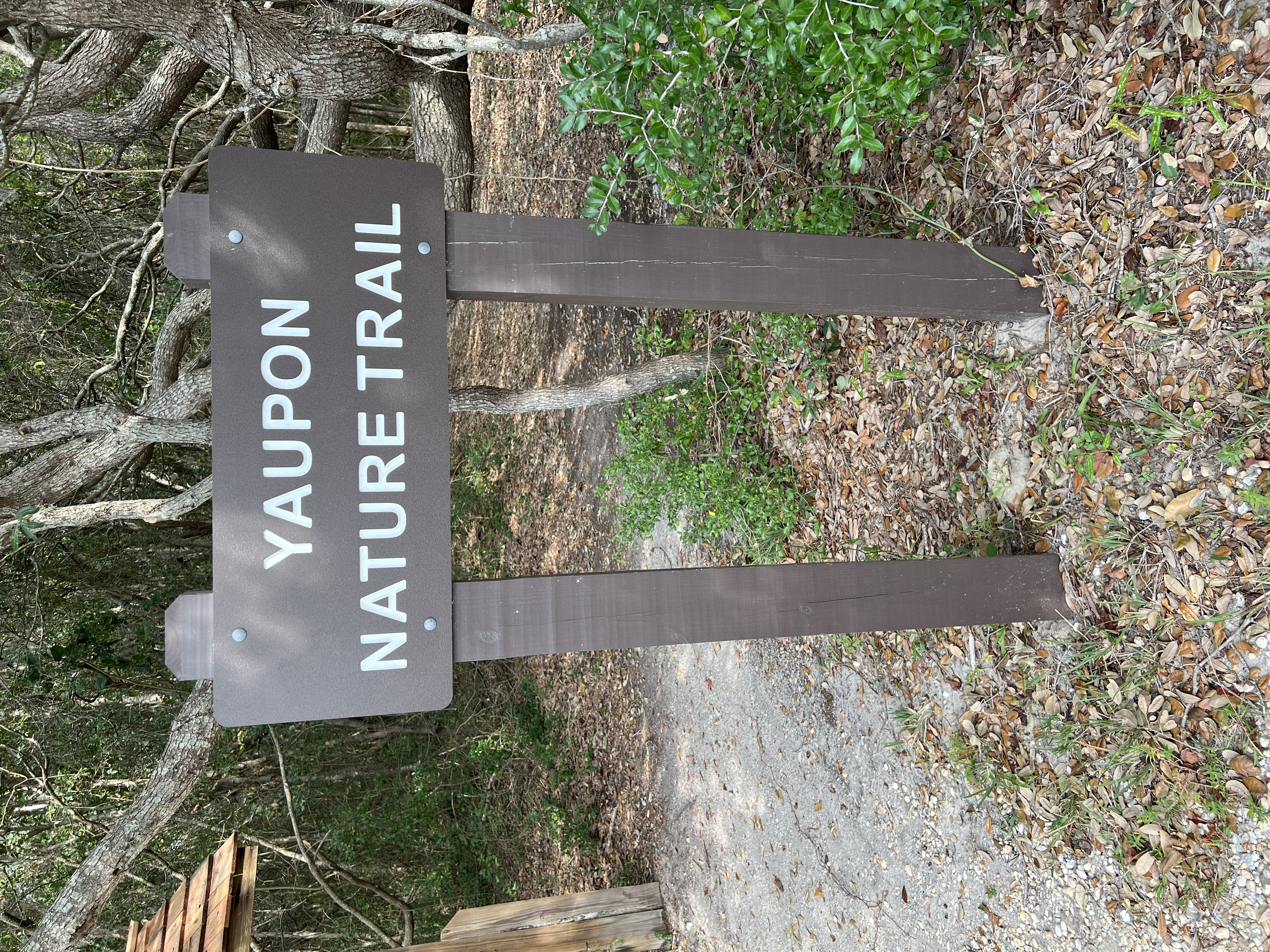 ./2024/10 - Myrtle Beach/IMG_2958.jpg